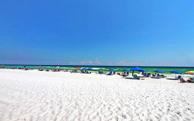 Pelican at Sound Side