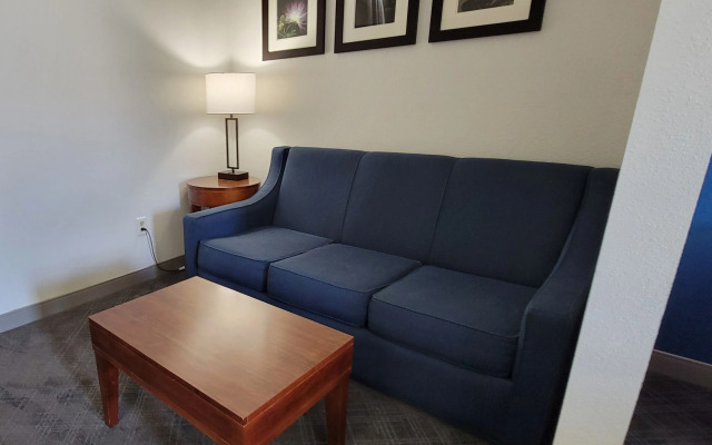 Comfort Inn Bessemer Birmingham South