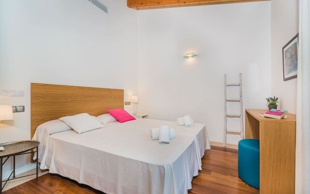 NEW 2020 - Empaltada