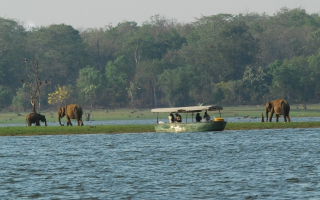 Kabini River Lodge by Jungle Lodges