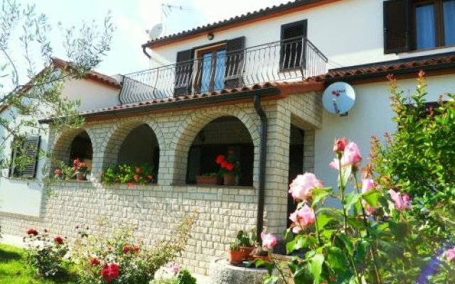 Apartments & Room Piutti