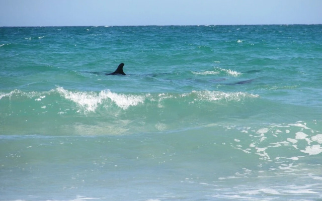 Playa Encanto Scenic Gem Ocean Front Home