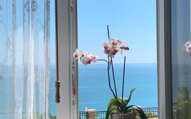 La Casa Di Torre Di Palme