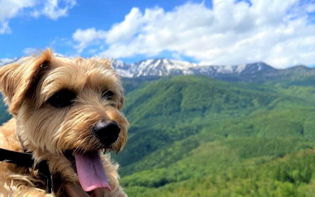 Hakuba Powder Mountain