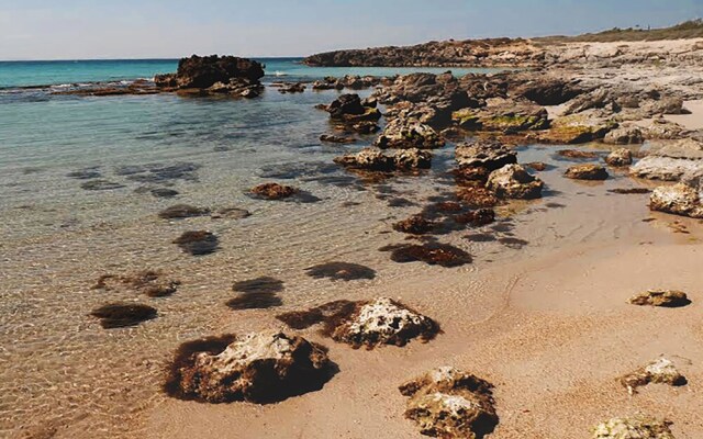 Luxury Beach Villa Puglia Italy