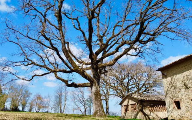 Podere Santa Cecilia