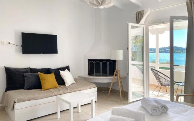 Palm Suite Yellow