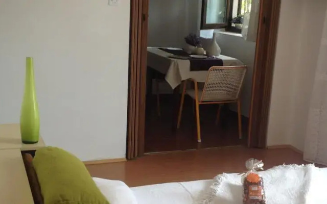 Bed And Breakfast Guest And Dogs Experience