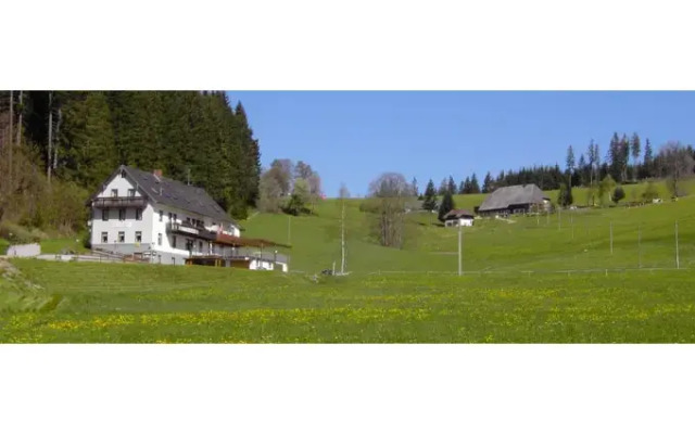 Gasthaus Pension Donishäusle