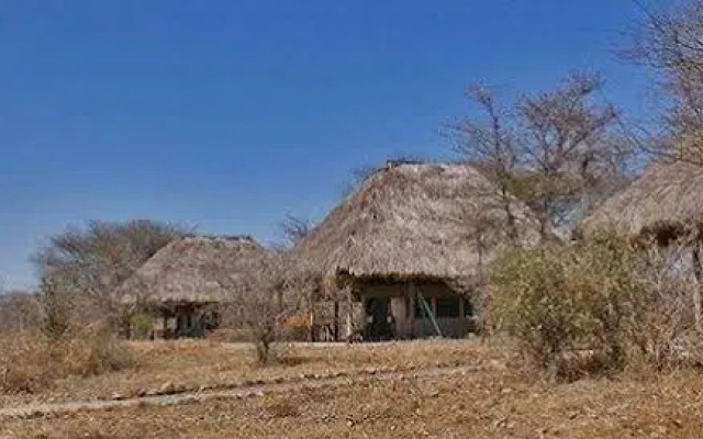 Whistling Thorn Tented Camp