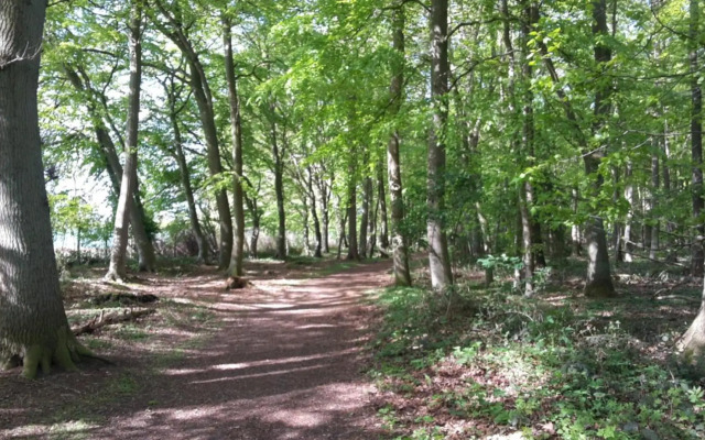 Wellness Ferienwohnung Waldblick