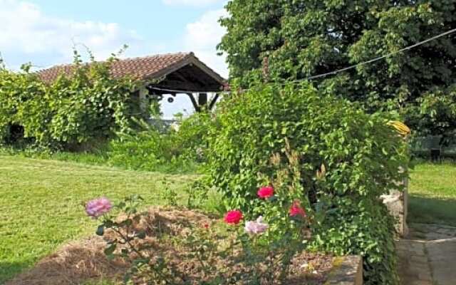 A lOmbre Du Marronnier