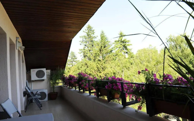 Villa Alice