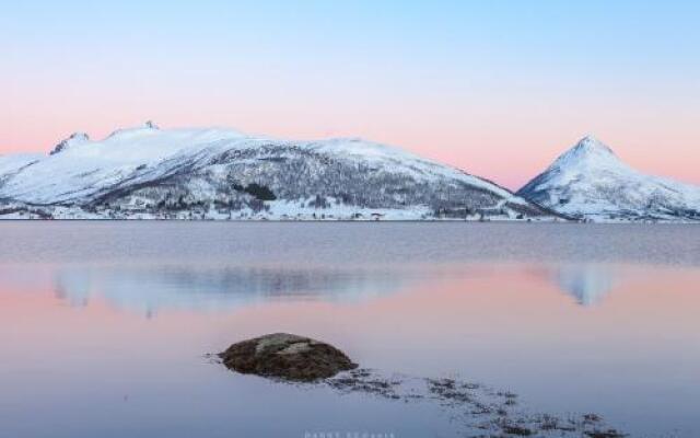 Fjordbotn camping