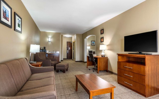 Comfort Inn & Suites Sacramento - University Area