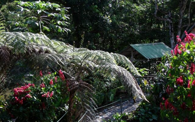 Playa Selva Lodge
