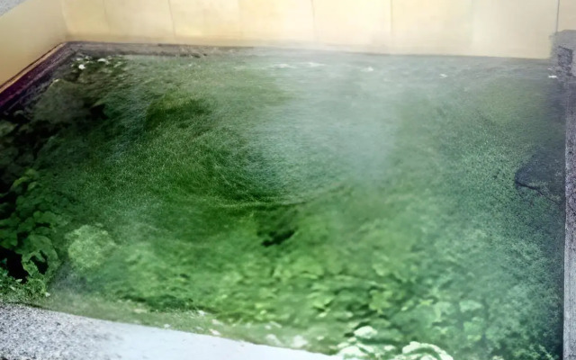 Spa Inn Oyado Iguchi