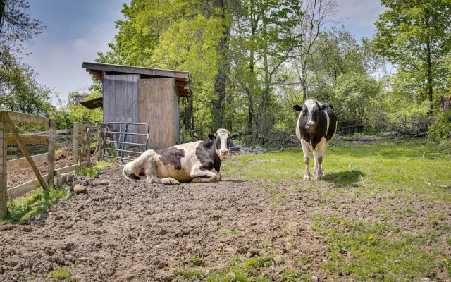 Quaint Goshen Apartment w/ Patio!