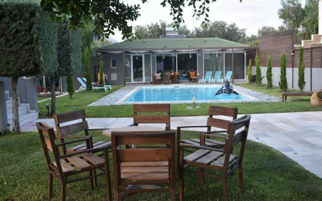 Sunlit Pool House