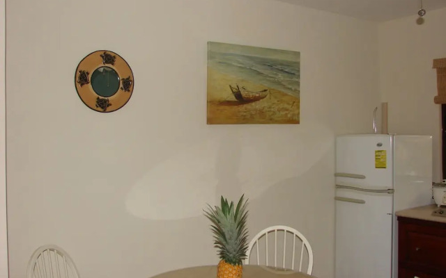 Little Dreams Studios