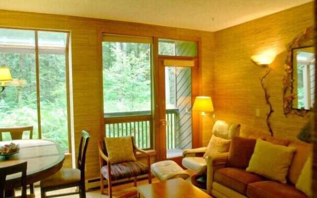 Mt Baker Lodging Condo 84 - Sleeps 6