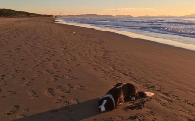 Agriturismo Biologico SS. Annunziata II