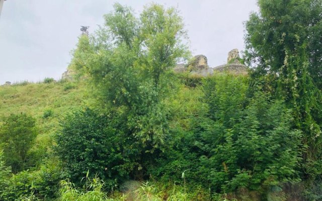 Castle View 2