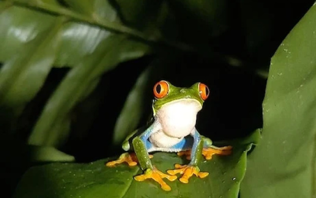 Jardín entre Montañas