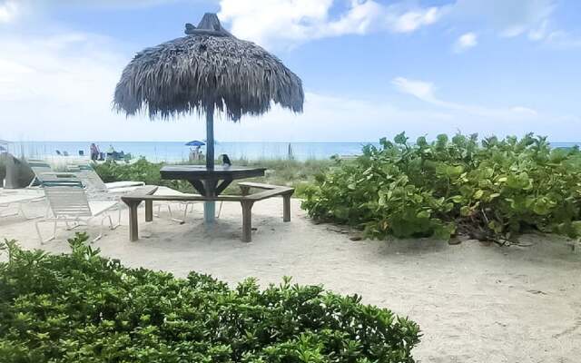 Beachfront Coconuts