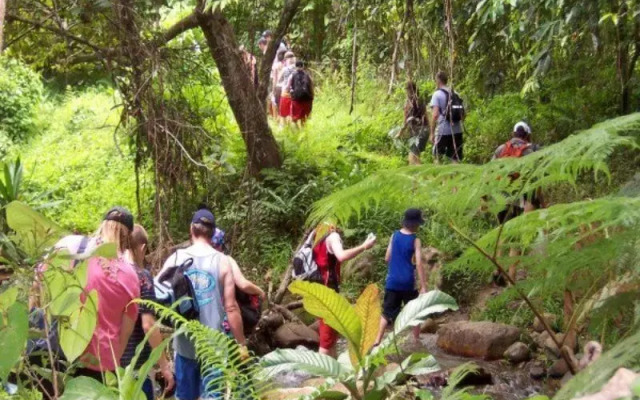 Nalesutale Village Lodges