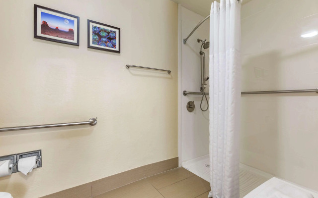 Comfort Inn & Suites Surprise Near Sun City West