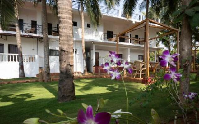 Agonda beach lavender luxury guest houses and villas