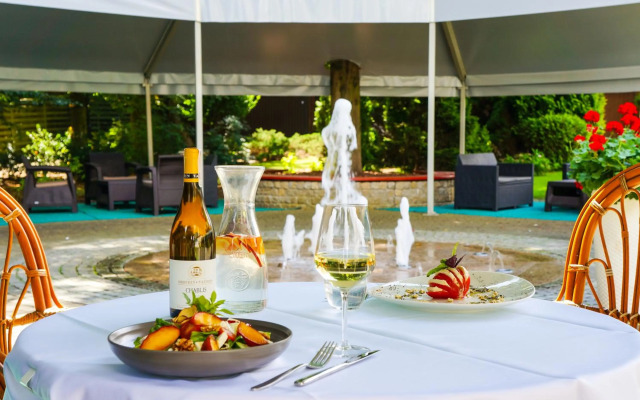 Hotel Villa Park Med & Spa