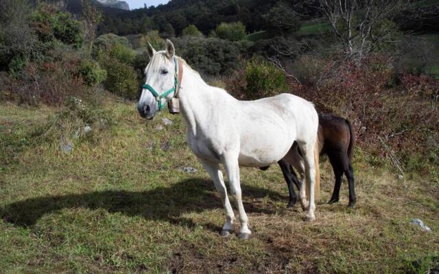 Apartamentos Los Picos de Europa