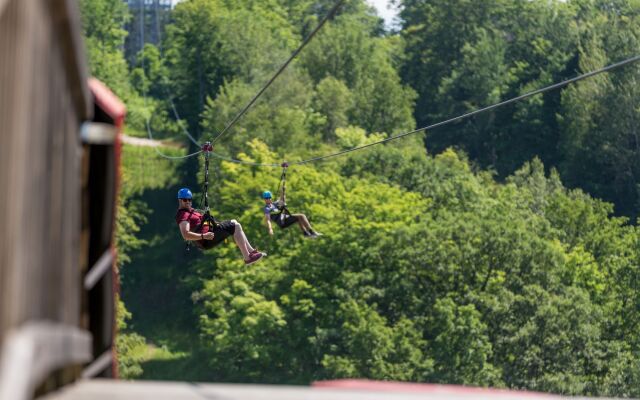 Horseshoe Resort