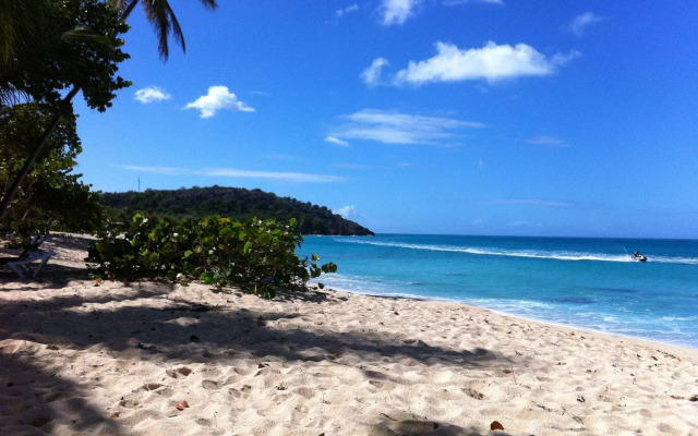Galley Bay Cottages