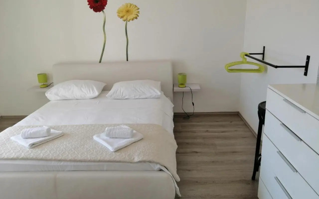 Apartment Roky