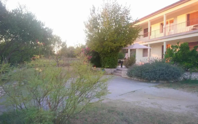 Apartment Vidas