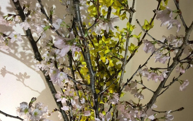 Your Pavilion near Kinkakuji