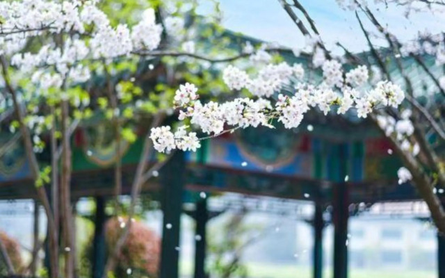 Taixuhu Holiday Hotel