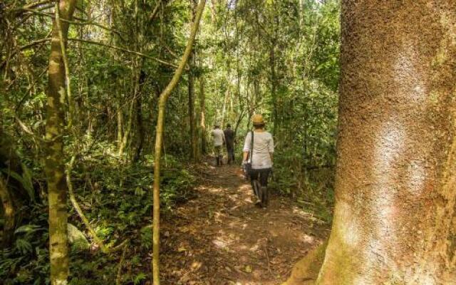 Corto Maltes Amazonia