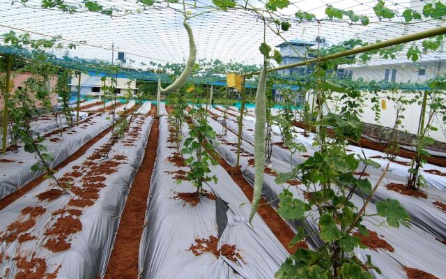 Ayur Bethaniya Ayurveda Hospital