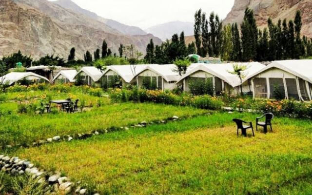 TIH Buckwheat Root Camp - Turtuk