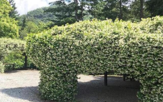 Il Bosco di Campo Marzano rooms & apartments