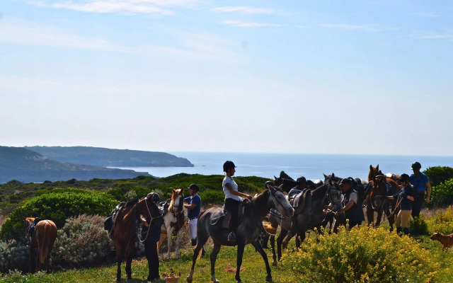 Poecylia Resort