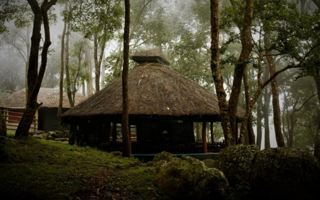 K. Gudi Wilderness Camp