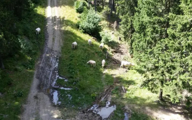 VVF Les 7 Laux Massif de Belledonne, Prapoutel