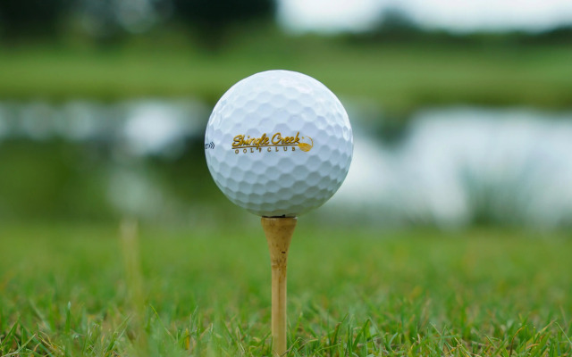 Rosen Shingle Creek