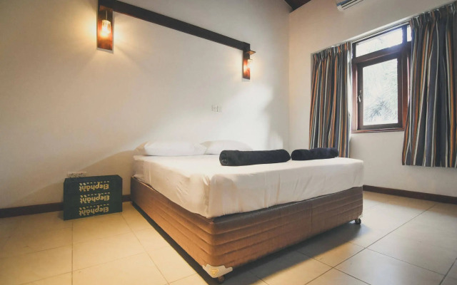 Bunkyard Hostels