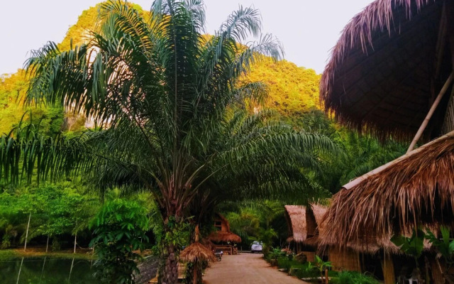 Aoluek Paradise